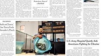 Goro, il morso dell’invasore: il granchio blu occupa pure il NY Times