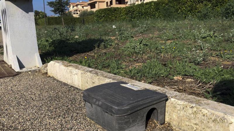 Grosseto, invasione di topi a Marina: è sos. Residenti “barricati” nelle case