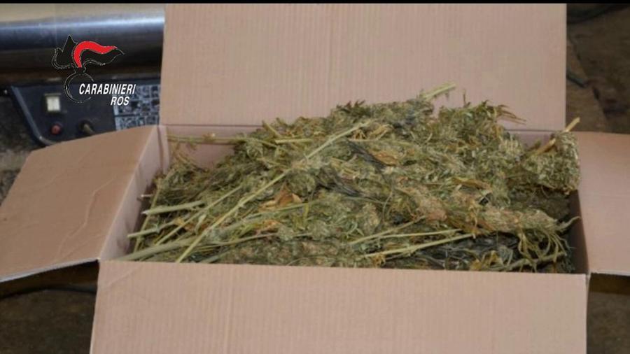 Mazzoli capo del Ros Sardegna: «La criminalità sarda si evolve»