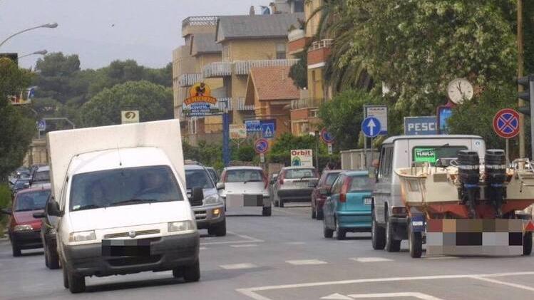 Orbetello, sparano a un gatto in un giardino con pallini da caccia