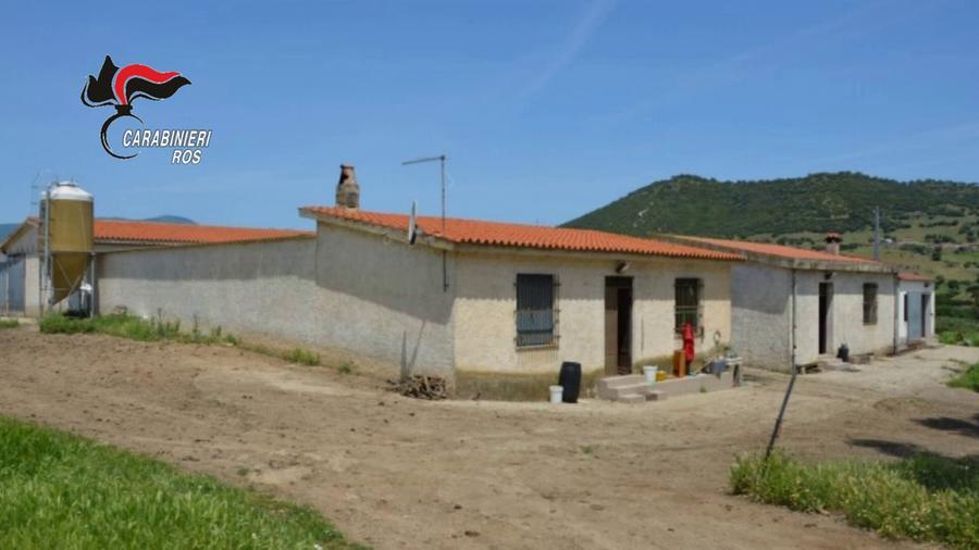 Operazione "Monte Nuovo" uno degli ovili utilizzati per gli incontri dall'organizzazione criminale