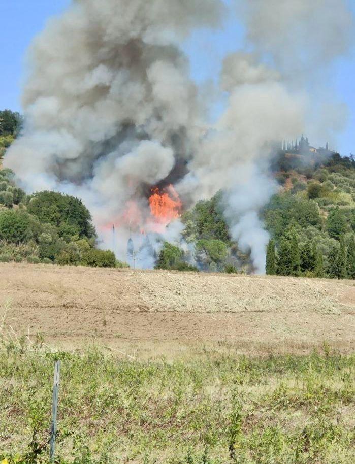 
	Il bosco in fiamme (foto Franco Silvi)

