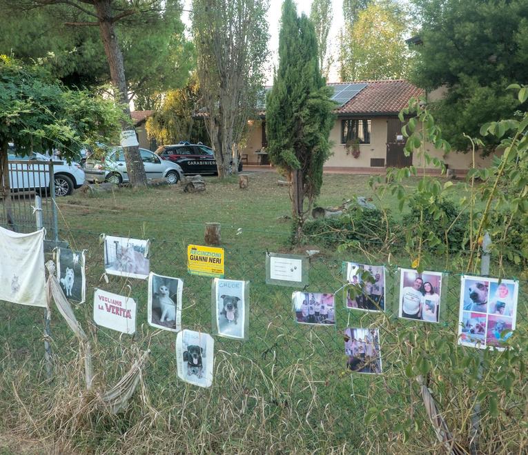 Comacchio, veterinario sotto accusa: la clinica resta sotto sequestro