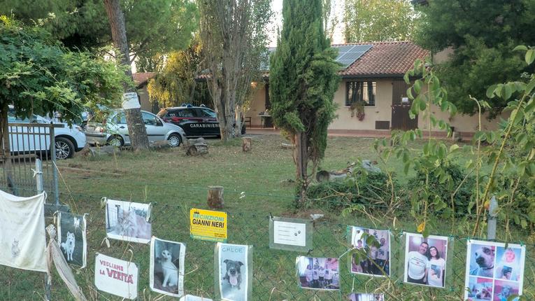 Comacchio, veterinario sotto accusa: la clinica resta sotto sequestro