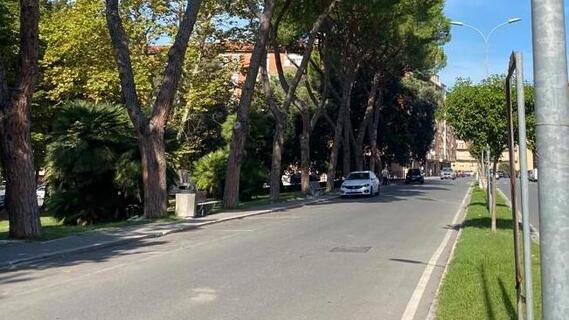 
	La strada in cui avvenne l&rsquo;incidente che provoc&ograve; la paralisi al motociclista (foto Fabio Muzzi)

