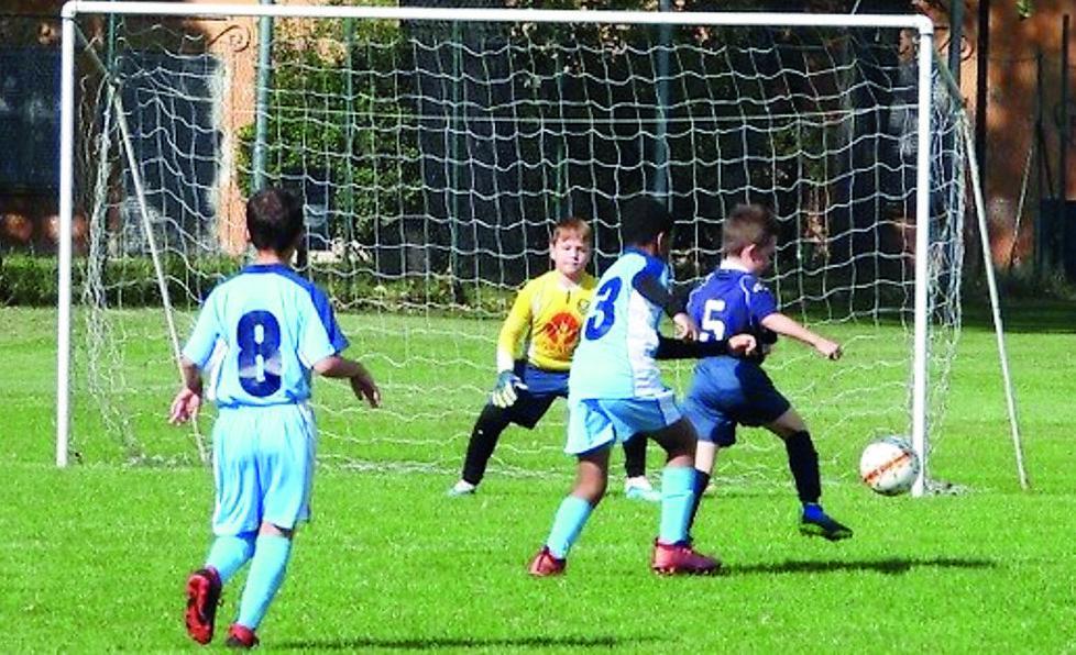 Ius Soli sportivo ed esordienti ritirati «Scelta assurda: la Figc ci ripensi»