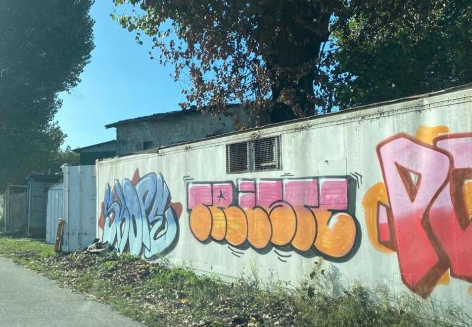 Viareggio, techno ad alto volume nei container: gli abitanti della Darsena protestano per la musica assordante