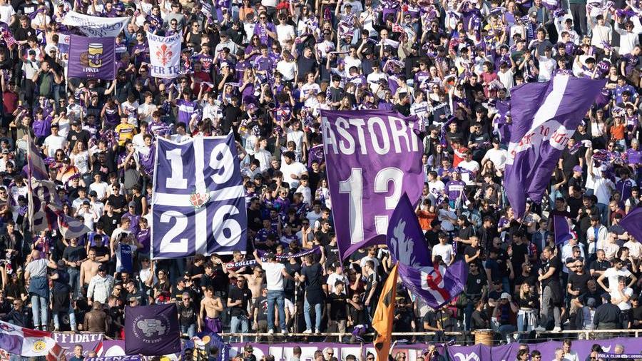 Viola d’amore. L’effetto Franchi per provare a volare davvero