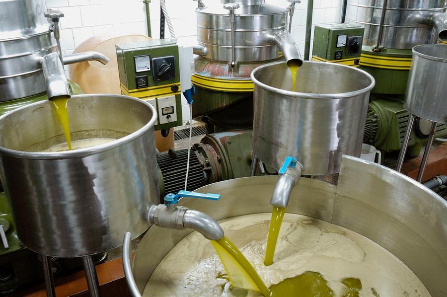 
	Lavorazione dell'olio di oliva

