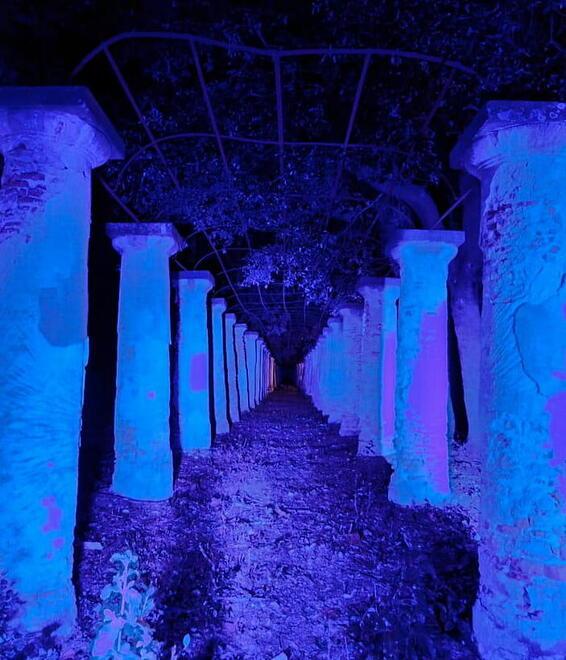Villa Maurogordato, la serra incantata strega Livorno: in mille allo spettacolo dei colori