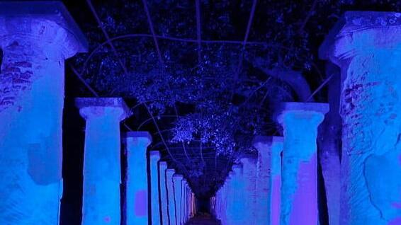 Villa Maurogordato, la serra incantata strega Livorno: in mille allo spettacolo dei colori