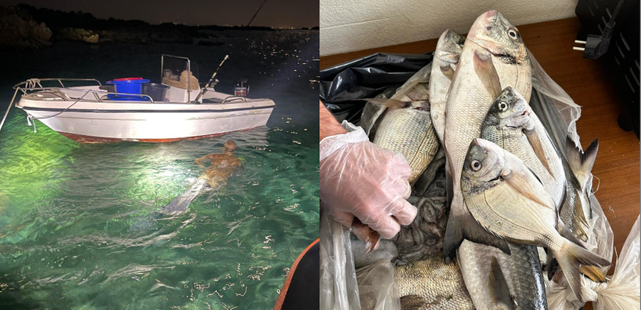 Pescatori di frodo scoperti e denunciati al parco dell’Asinara
