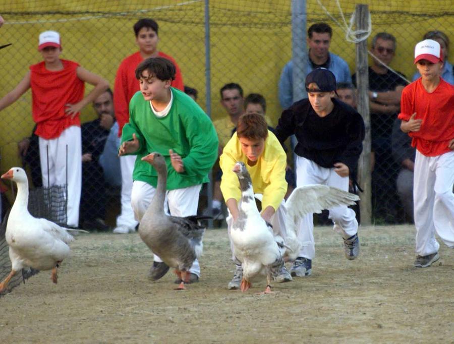 Balconevisi tra gusto e tradizione per due weekend, domenica al campo sportivo c’è il Palio del papero