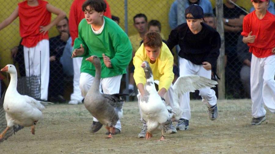Balconevisi tra gusto e tradizione per due weekend, domenica al campo sportivo c’è il Palio del papero