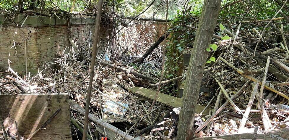 Villa Rodocanacchi, il parco chiuso da 28 anni si apre per la prima passeggiata con pulizia del bosco