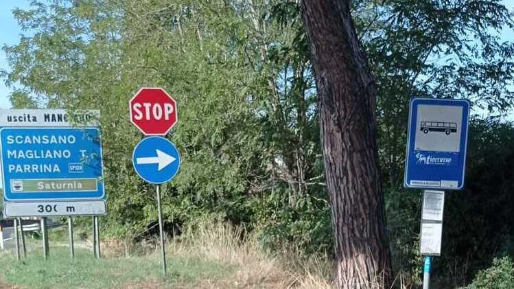 Il bus salta la fermata. «Mio figlio studente è stato lasciato a piedi»<br>