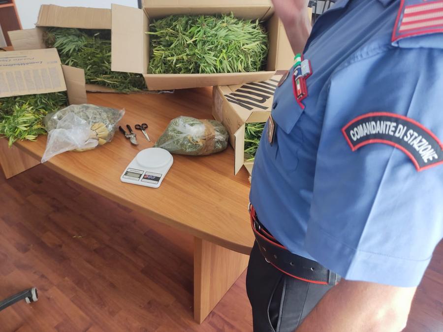 La bella vita di un 29enne disoccupato: 23 chili di marijuana nella casa dove vive con la nonna 90enne. Arrestato