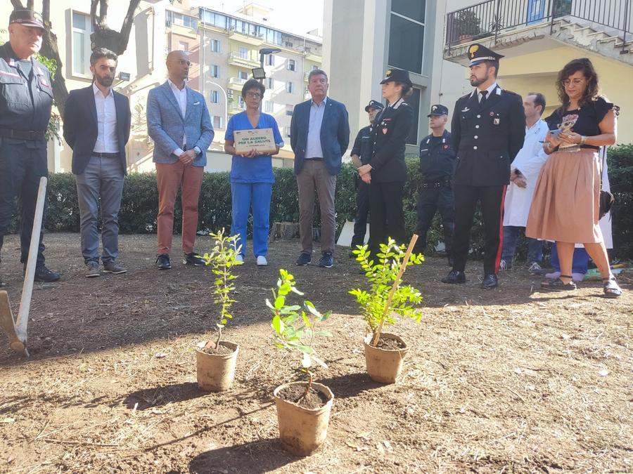 “Un albero per la salute”: all’ospedale Santissima Trinità di Cagliari iniziativa dei carabinieri del Reparto biodiversità