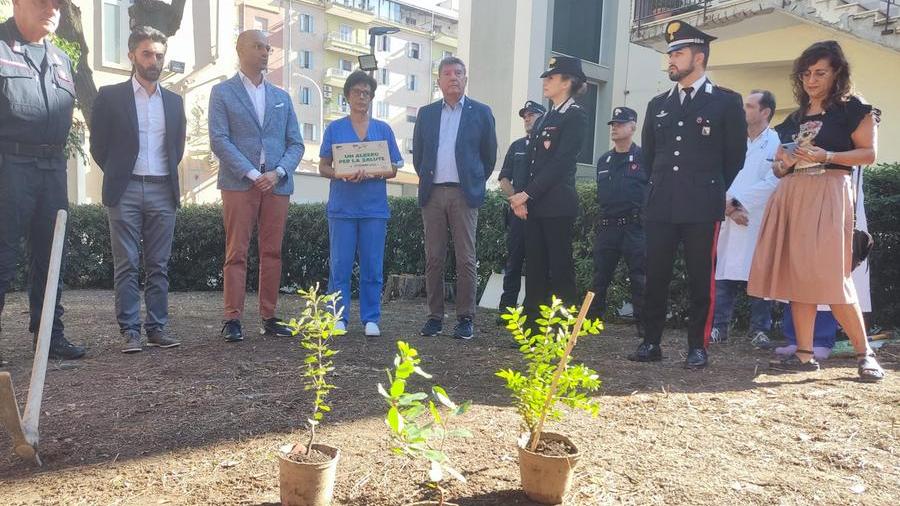 “Un albero per la salute”: all’ospedale Santissima Trinità di Cagliari iniziativa dei carabinieri del Reparto biodiversità