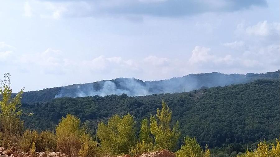 Roccastrada, sotto controllo le fiamme nel bosco
