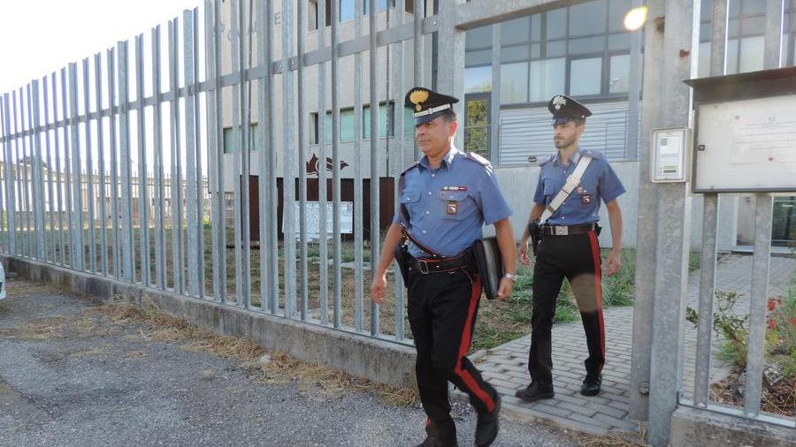 Ferrara, sorpreso a rubare in azienda: arrestato ex dipendente