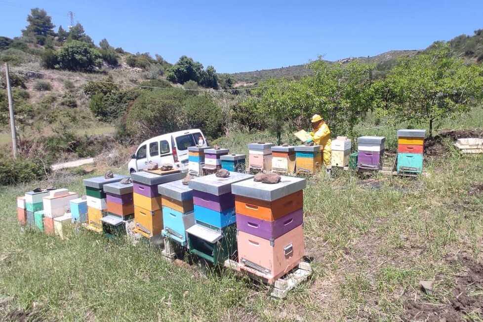 Il miele di Osilo tra i Grandi d’Italia