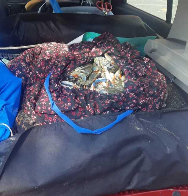 Prato, prima falsa ginecologa e ora venditrice abusiva di granchi blu: i mille volti della donna dei raggiri