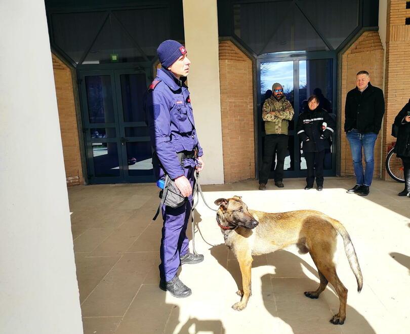 Rosignano, controlli in un circolo e al parco: quattro nei guai