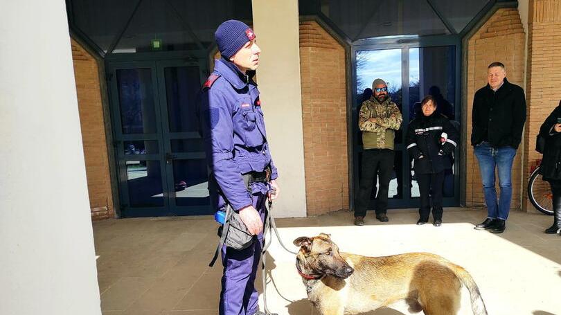 Rosignano, controlli in un circolo e al parco: quattro nei guai