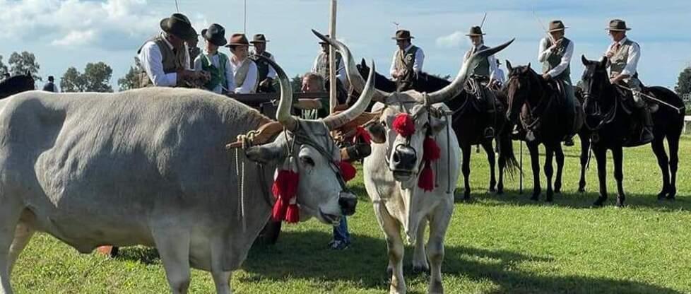 Il weekend è sotto il segno del cavallo