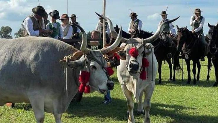 Il weekend è sotto il segno del cavallo