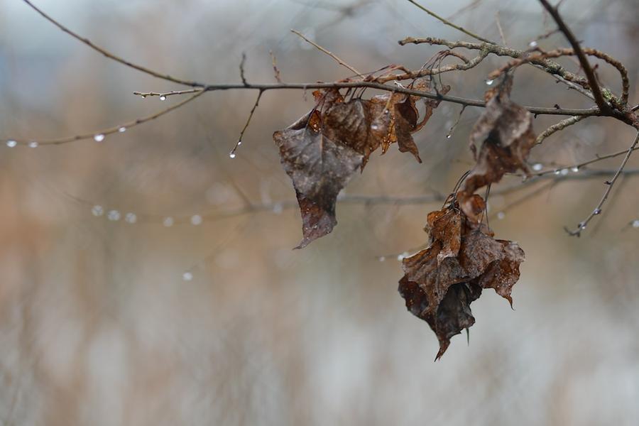 Ciao super estate, in Toscana arrivano fresco e pioggia: ecco quando crolleranno le temperature