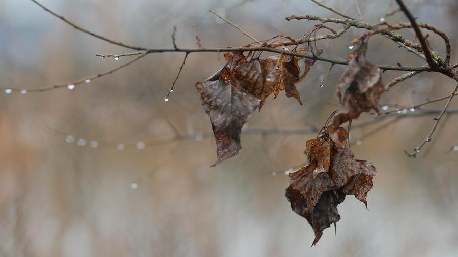 Ciao super estate, in Toscana arrivano fresco e pioggia: ecco quando crolleranno le temperature