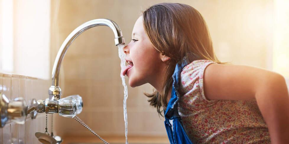 Formigine. «L’acqua è sempre stata potabile. Nessun problema nelle scuole»<br>
