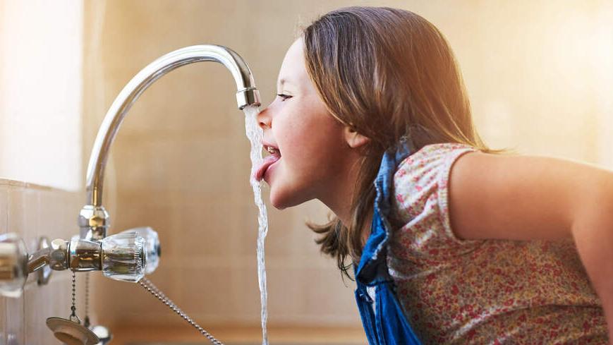 Formigine. «L’acqua è sempre stata potabile. Nessun problema nelle scuole»<br>