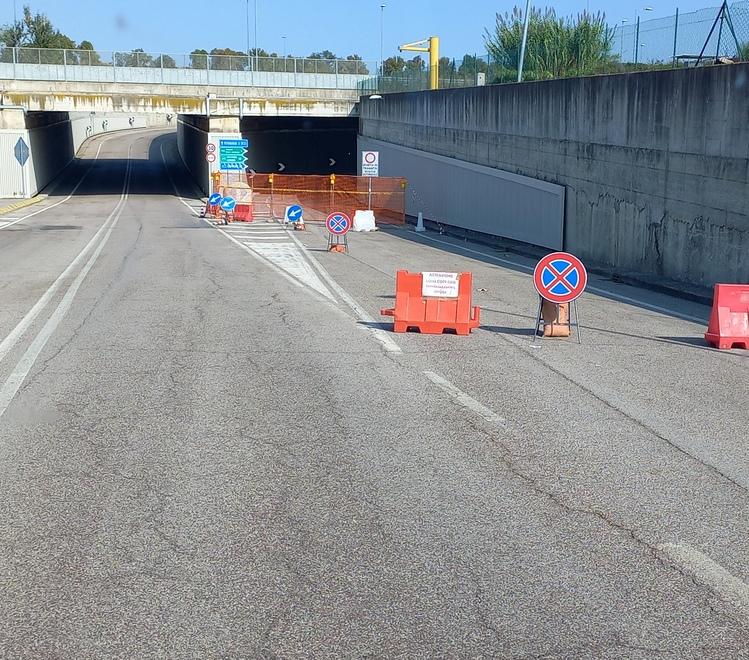 Ferrara. Una corsa tutta nuova per gli studenti di Cona. Arriva la linea 66<br type="_moz" />

