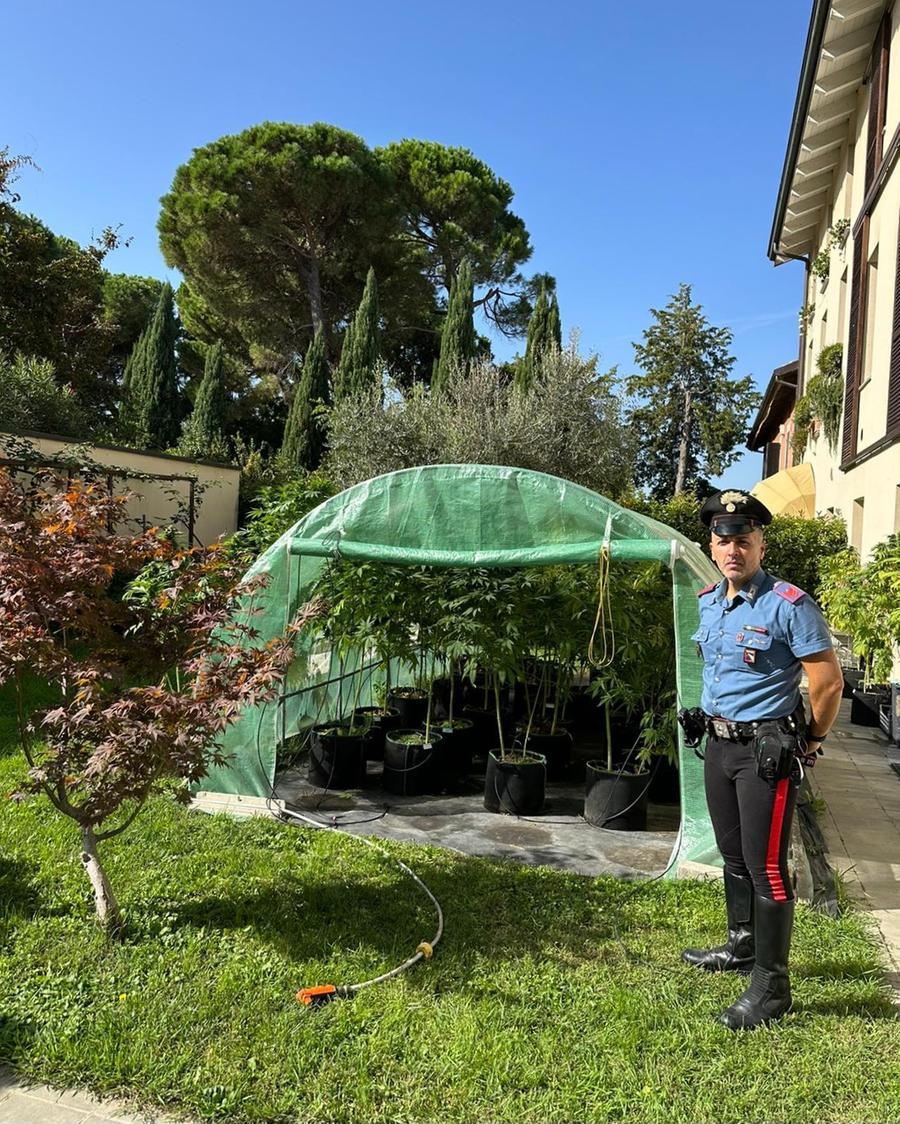 Aveva una piantagione di marijuana in casa, arrestato un 33enne