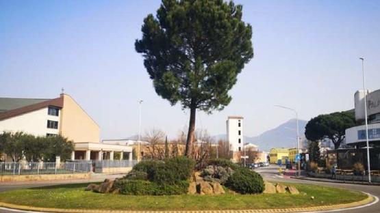 Il Consiag ha investito 11,5 milioni di euro nella manutenzione del verde pubblico