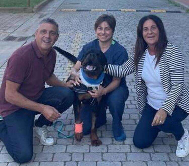 Pisa, dialisi e trasfusioni salvano Harlock da morte certa<br>
