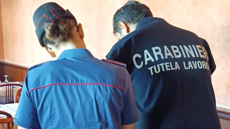 Ferrara, i carabinieri scoprono nove lavoratori in nero, scattano le maxi sanzioni per le aziende