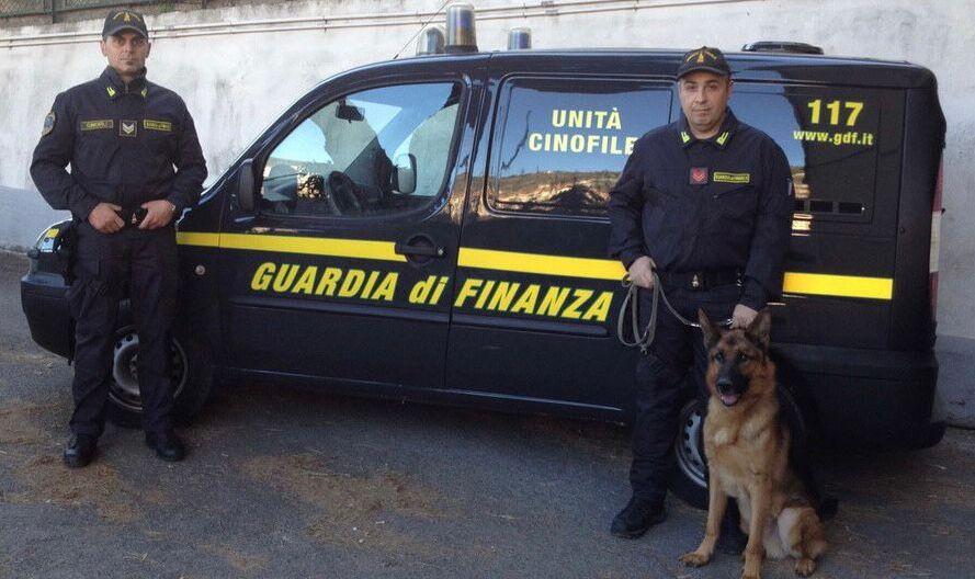 Due militari della guardia di finanza con un cane antidroga (foto d’archivio)