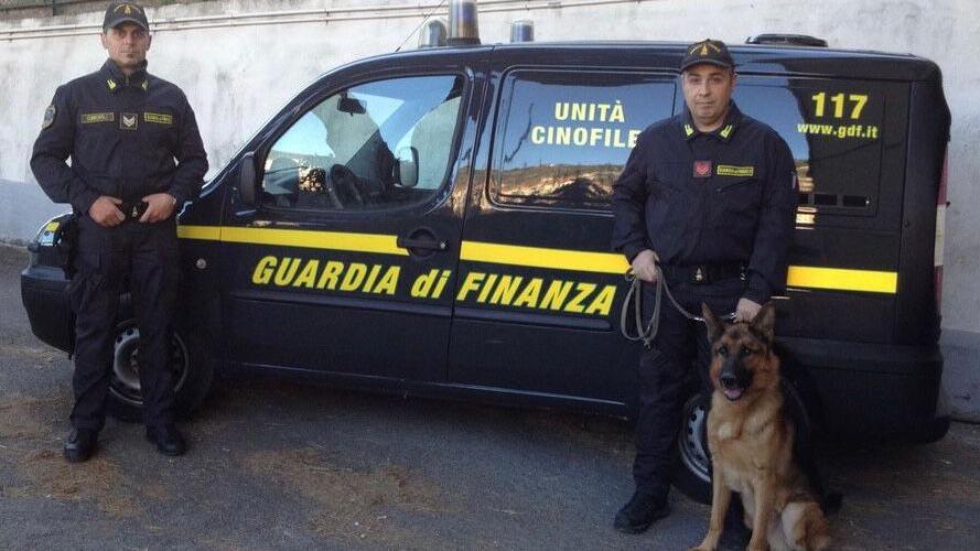 Due militari della guardia di finanza con un cane antidroga (foto d’archivio)