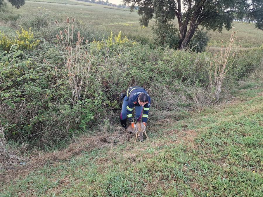 
	L'intervento lungo l'Aurelia

