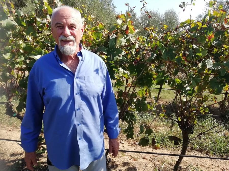 
	Il presidente della Cantina dei vini di Maremma, Massimo Tuccio

