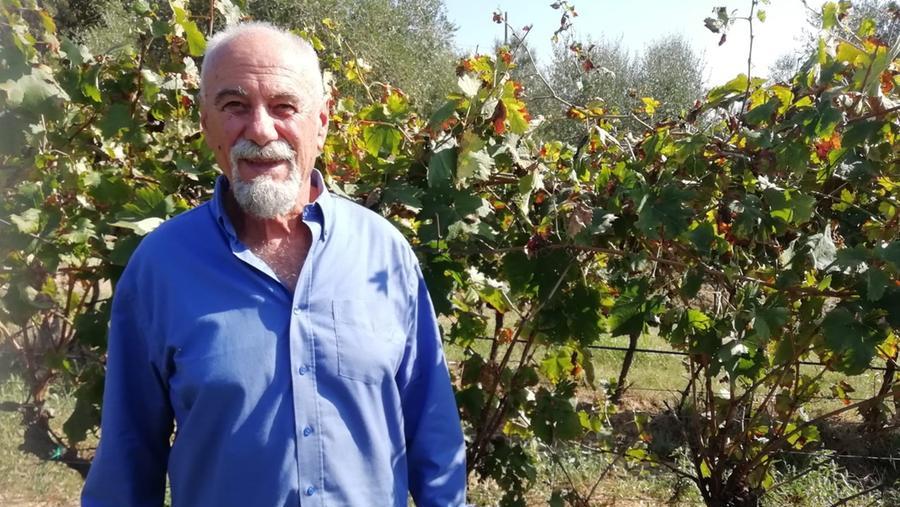 Il presidente della Cantina dei vini di Maremma, Massimo Tuccio