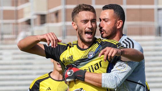 Canestrelli
