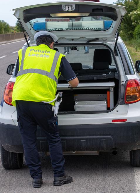 Berra, i cani mal custoditi scappano e mordono il vicino di casa