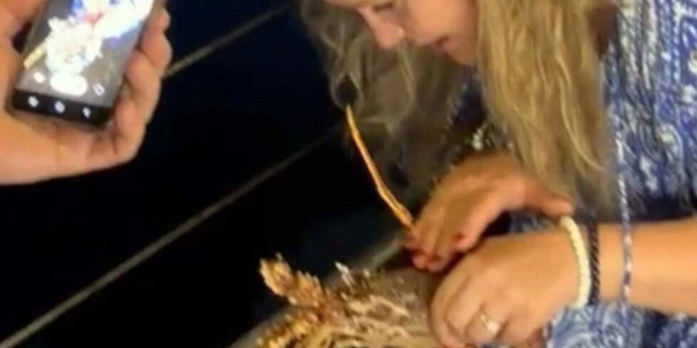 Un lungo viaggio intorno al mondo per l’aragosta liberata in ristorante a Golfo Aranci