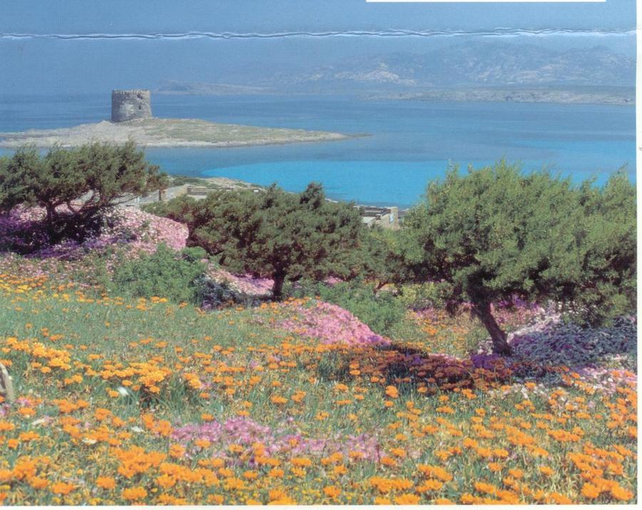 Arriva l’autunno, anzi no: lunedì calo delle temperature e possibili piogge, poi di nuovo caldo estivo