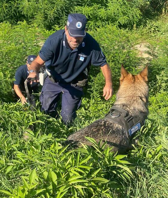 Ferrara, scovati 147 ovuli di droga per un sequestro da 10mila euro